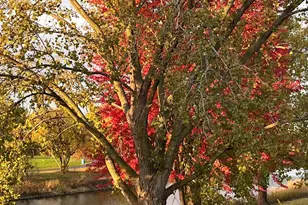 [Address not provided], Bolingbrook, IL 60490 - Photo 60