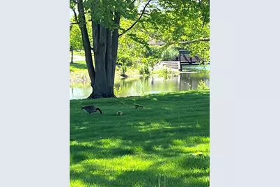 [Address not provided], Bolingbrook, IL 60490 - Photo 48