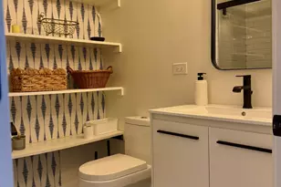 850 N Dewitt Pl, Chicago, IL 60611 - Photo 26