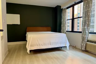 850 N Dewitt Pl, Chicago, IL 60611 - Photo 20