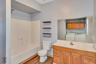 117 E Crawford St, Peotone, IL 60468 - Photo 20