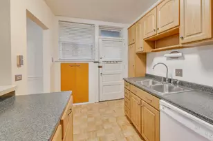 7346 Lake St, River Forest, IL 60305 - Photo 20