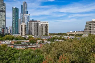 1601 S Indiana Ave, Chicago, IL 60616 - Photo 38