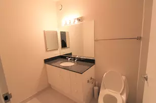 512 N McClurg Ct, Chicago, IL 60611 - Photo 6