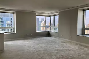 512 N McClurg Ct, Chicago, IL 60611 - Photo 4