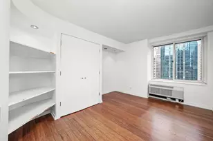 211 E Ohio St, Chicago, IL 60611 - Photo 18