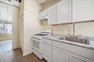 1009 Assell Ave, Aurora, IL 60505 - Photo 16