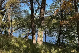 21112 W Hwy 113, Custer Park, IL 60481 - Photo 4