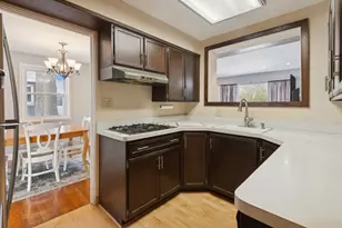 8646 E Prairie Rd, Skokie, IL 60076 - Photo 8