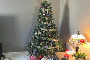 2233 Dawson Ln, Algonquin, IL 60102 - Photo 20