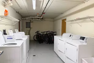 1041 Susan Collins Ln, Oak Park, IL 60302 - Photo 16