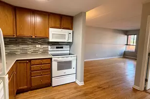 1041 Susan Collins Ln, Oak Park, IL 60302 - Photo 10