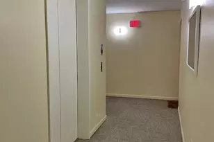 1041 Susan Collins Ln, Oak Park, IL 60302 - Photo 4