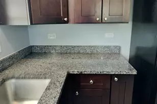 1943 W 48th St, Chicago, IL 60609 - Photo 10