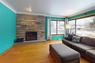 142 W Chicago Ave, Downers Grove, IL 60515 - Photo 10