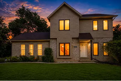 307 Blackstone Avenue, Willow Springs, IL 60480 - Photo 1