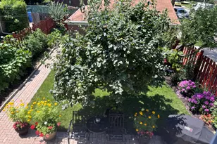 5658 N Richmond St, Chicago, IL 60659 - Photo 12