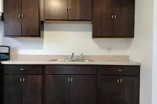 7910 S Muskegon Ave, Chicago, IL 60617 - Photo 6