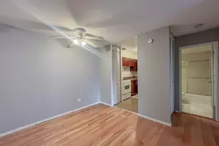 736 W Buena Ave, Chicago, IL 60613 - Photo 4