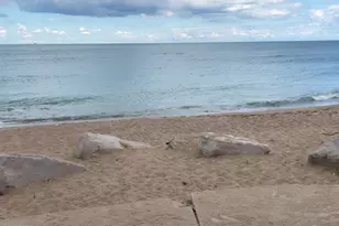 4055 S Ellis Ave, Chicago, IL 60653 - Photo 44