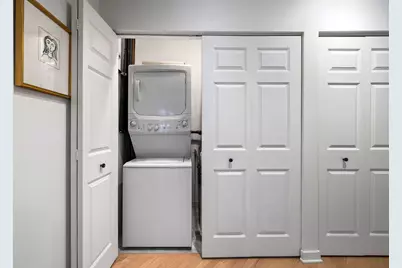 300 W Grand Avenue #209, Chicago, IL 60654 - Photo 20