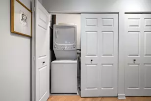 300 W Grand Ave, Chicago, IL 60654 - Photo 20