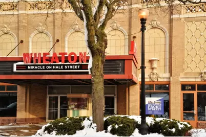 24 Winners Cup Circle, Wheaton, IL 60189 - Photo 46