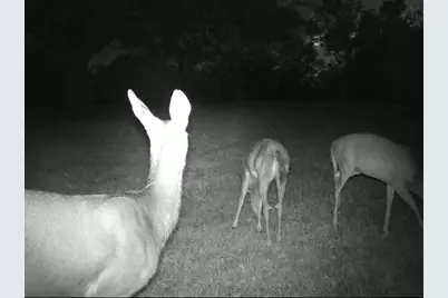 11116 Seeman Road, Huntley, IL 60142 - Photo 48