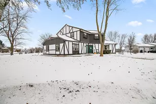 101 Sun St, Stelle, IL 60919 - Photo 18