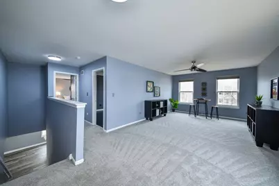 1029 Wise Street, Elburn, IL 60119 - Photo 12