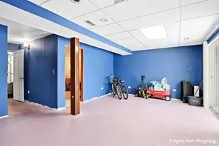 3332 Twisted Oak Ct, McHenry, IL 60051 - Photo 20