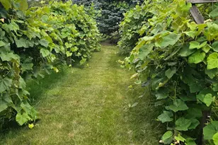 4220 Northgate Dr, Spring Grove, IL 60081 - Photo 94