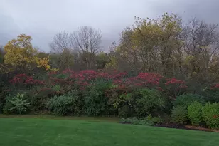 4220 Northgate Dr, Spring Grove, IL 60081 - Photo 92