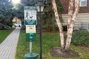 440 W Mahogany Ct, Palatine, IL 60067 - Photo 20