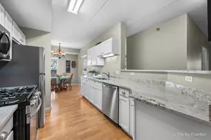 440 W Mahogany Ct, Palatine, IL 60067 - Photo 16