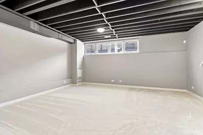 1613 S Ruble Street, Chicago, IL 60616 - Photo 22