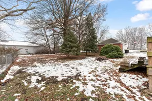 233 E Morris St, Bement, IL 61813 - Photo 14