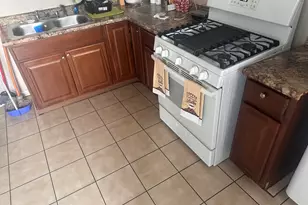 217 N Kostner Ave, Chicago, IL 60624 - Photo 10