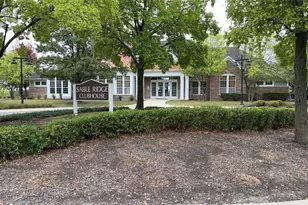 905 Bluebell Cir, Joliet, IL 60431 - Photo 20