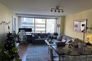 211 E Ohio St, Chicago, IL 60611 - Photo 4