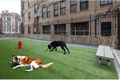 5600 N Sheridan Road #4A, Chicago, IL 60660 - Photo 12