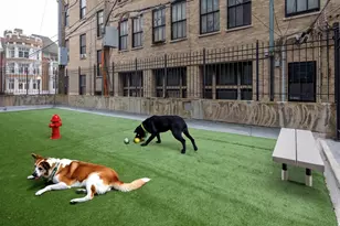 5600 N Sheridan Rd, Chicago, IL 60660 - Photo 12