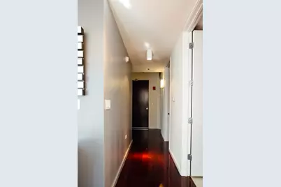 550 N St Clair Street #1204, Chicago, IL 60611 - Photo 12