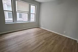 4828 S Indiana Ave, Chicago, IL 60615 - Photo 8