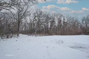 21714 Pringle Dr, Marengo, IL 60152 - Photo 26