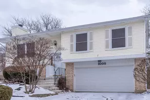 1005 Pheasant Ridge Dr, Lake Zurich, IL 60047 - Photo 1