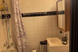 15616 Loomis Ave, Harvey, IL 60426 - Photo 16