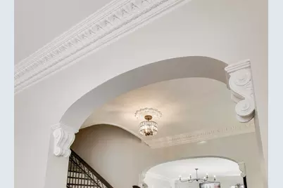 10162 S Longwood Drive, Chicago, IL 60643 - Photo 16