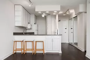 1455 N Sandburg Terrace, Chicago, IL 60610 - Photo 6