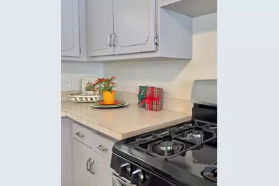 3051 S Scott Street, Des Plaines, IL 60018 - Photo 10